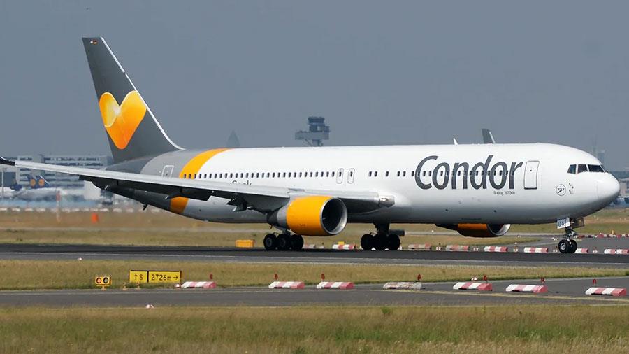 condor