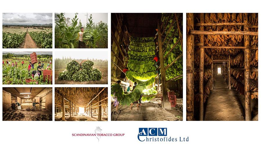 acmscandinavian