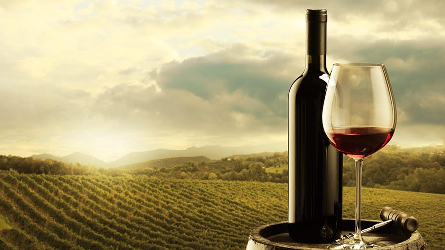 wines