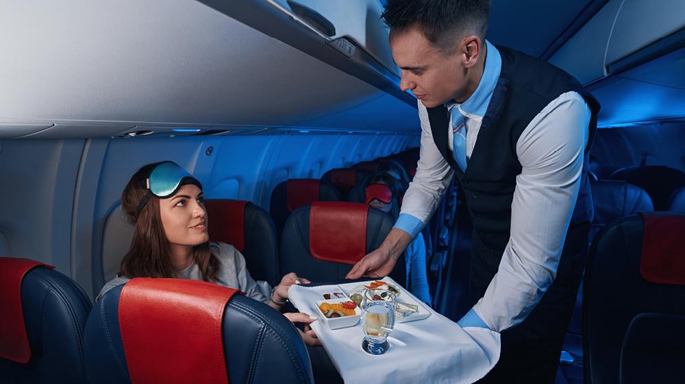 plane meal