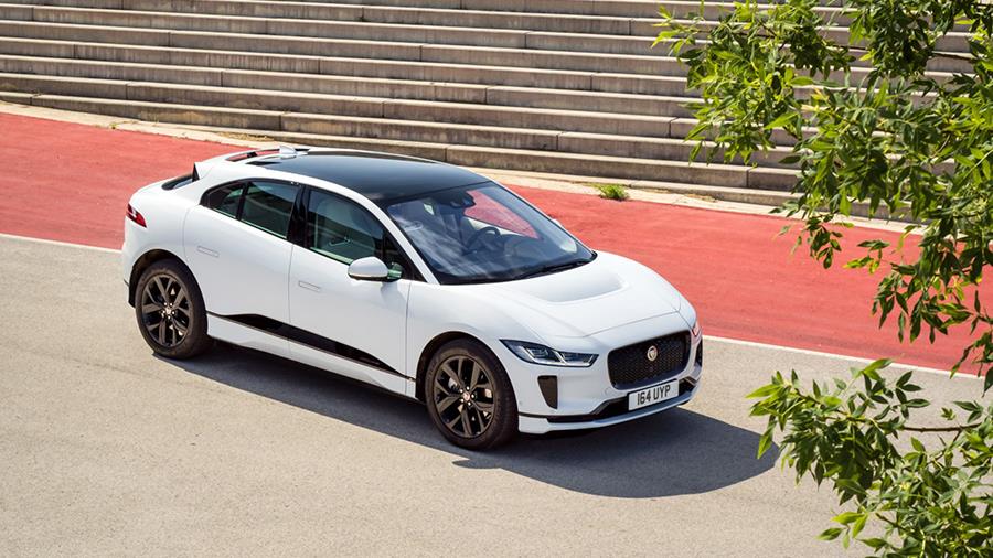 jaguar