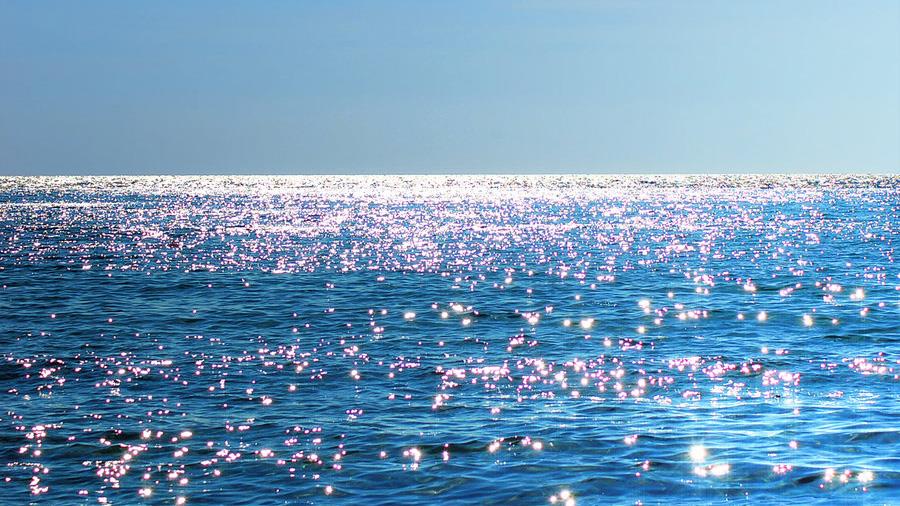 thalassaNEWS