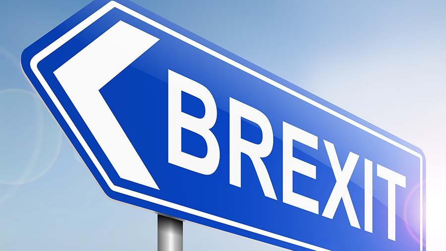 Brexit sign concept.