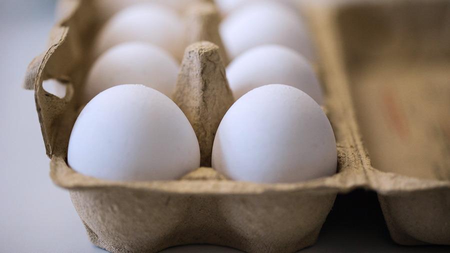 eggs