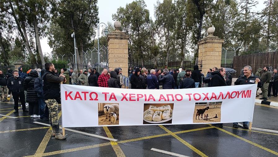 ΑΙΓΟΠΡΟΒΑΤΟΤΡΟΦΟΙ