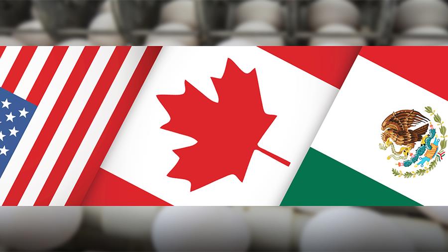 nafta