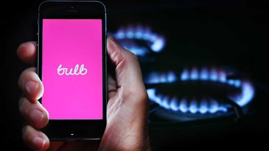 bulb