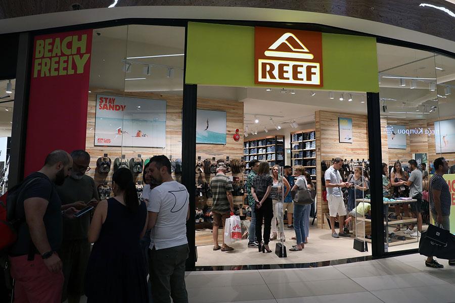 reefegkainia