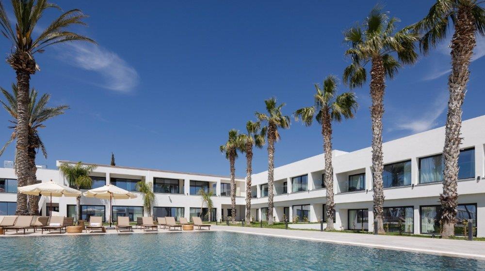 Brown Paphos_Hills