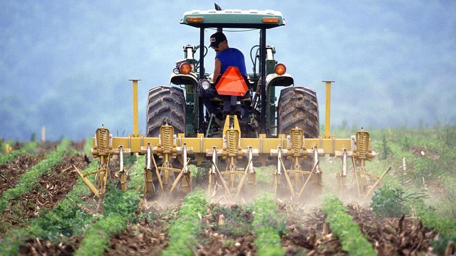 agrotesnews4
