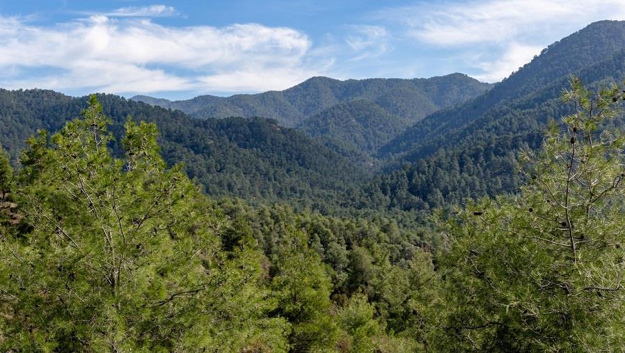 Eastern side of Troodos
