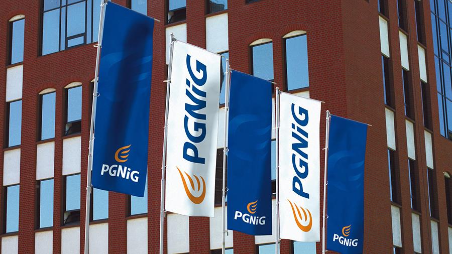 pgnig