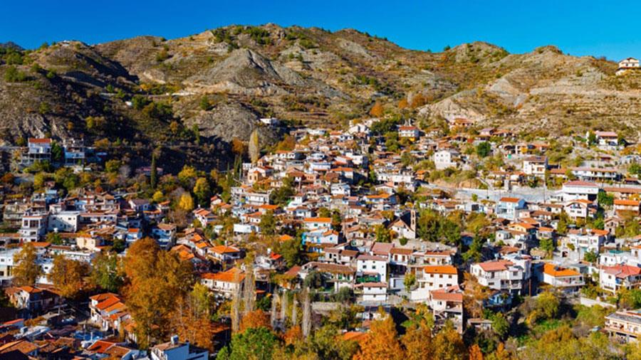 palaixori