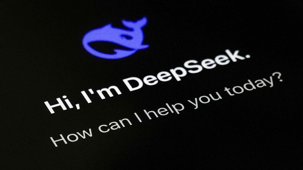 deepseek-56666