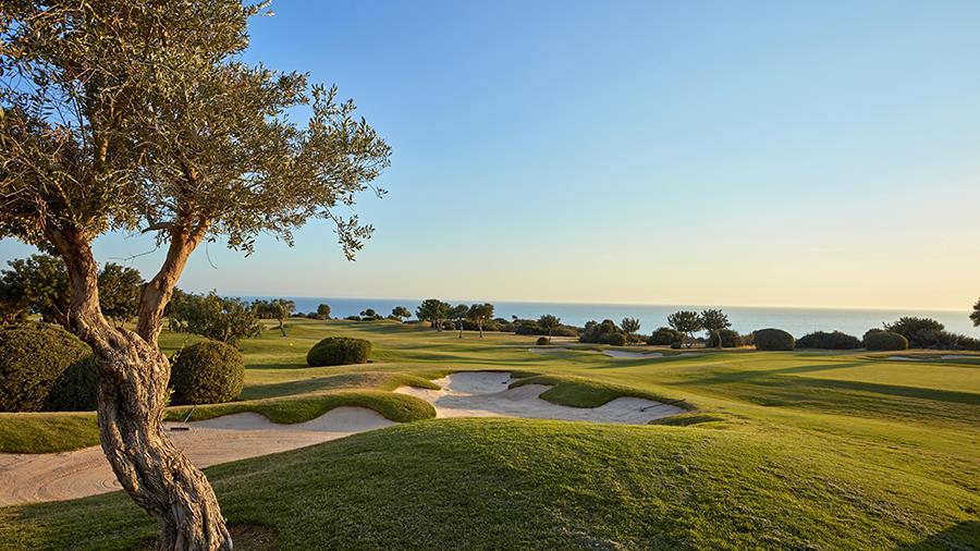 aphroditehillsgolfnews